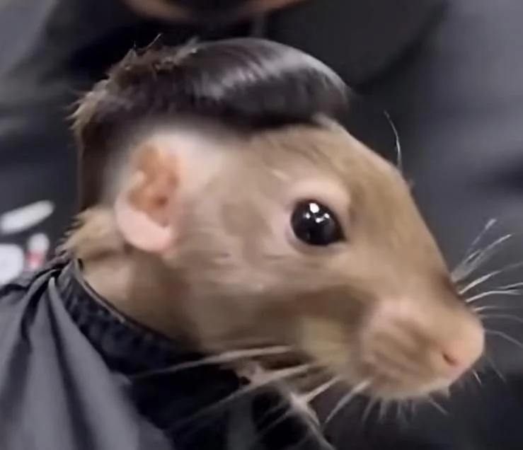 Rusted Gear tweet media