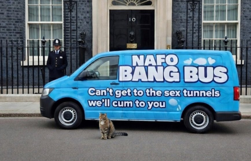 BatRock 🇩🇪🇬🇪🇺🇦 |🍍 tweet media