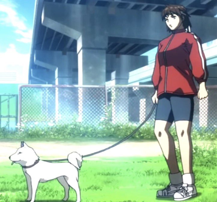 Women of Street Fighter tweet media