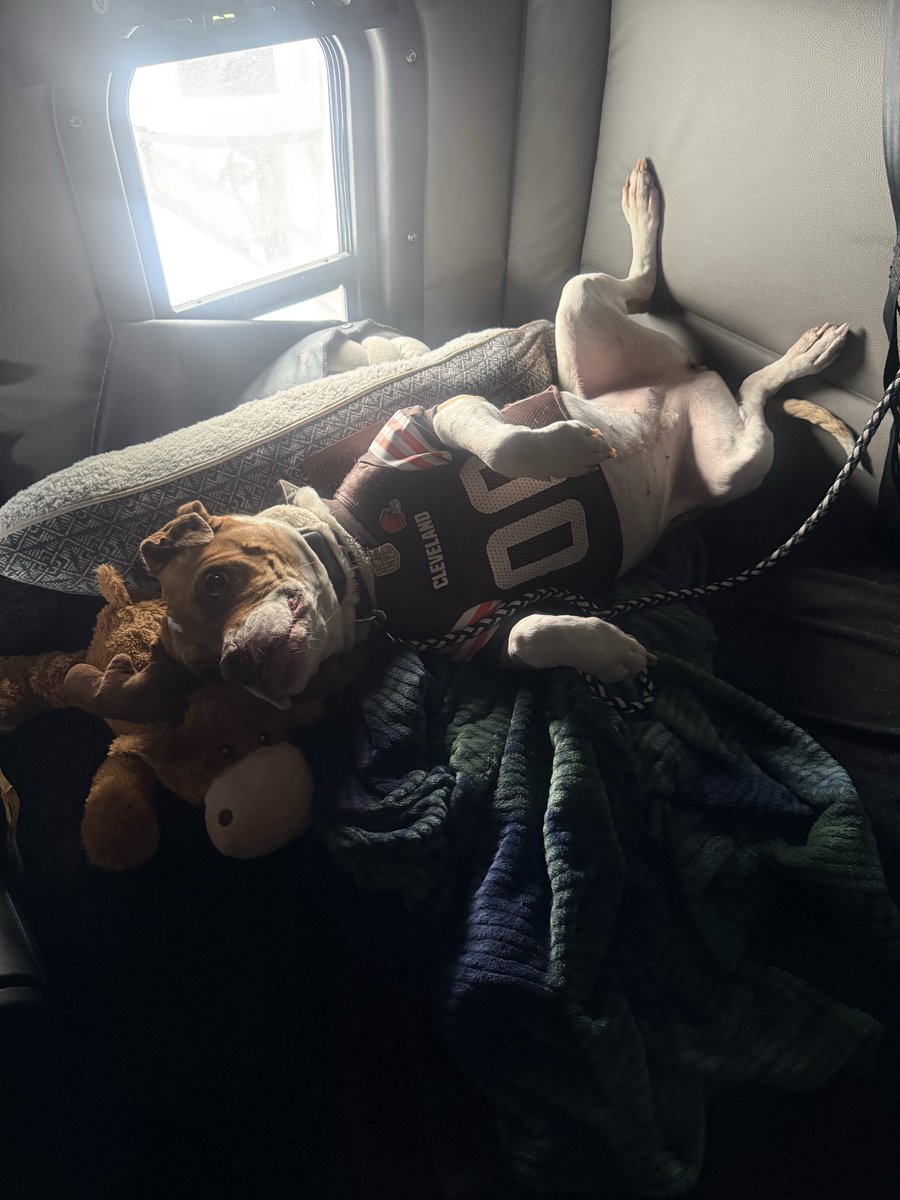 Jaye Mays tweet media