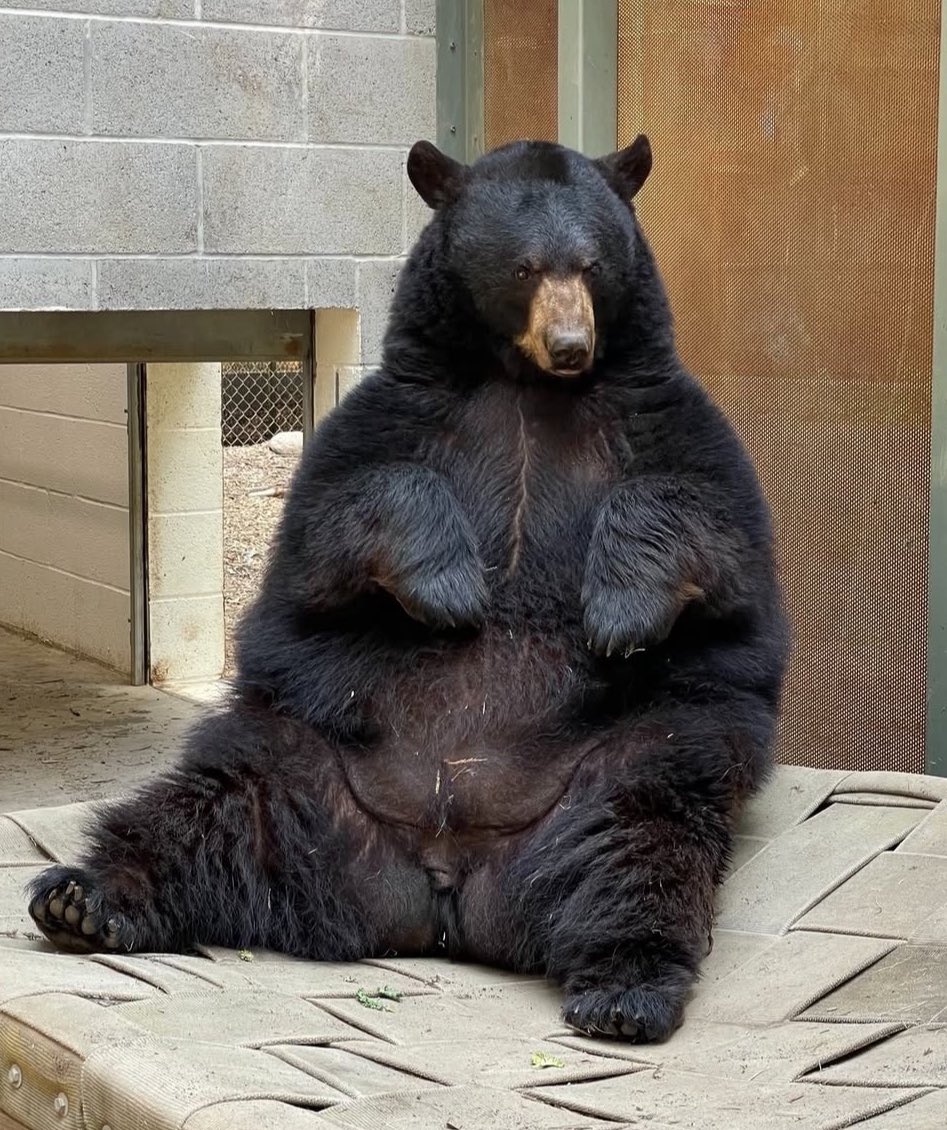 SunnyDales tweet media