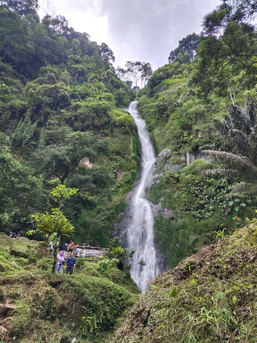 justNuri 🇵🇸 tweet media