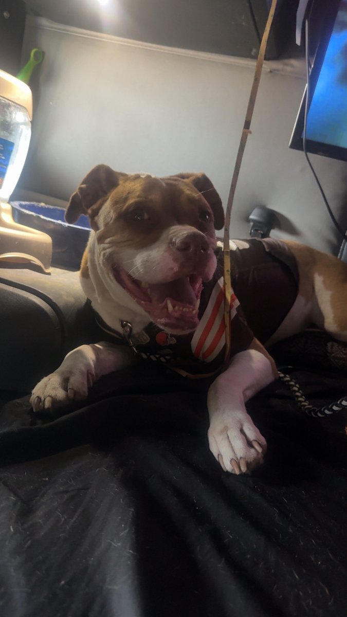 Jaye Mays tweet media