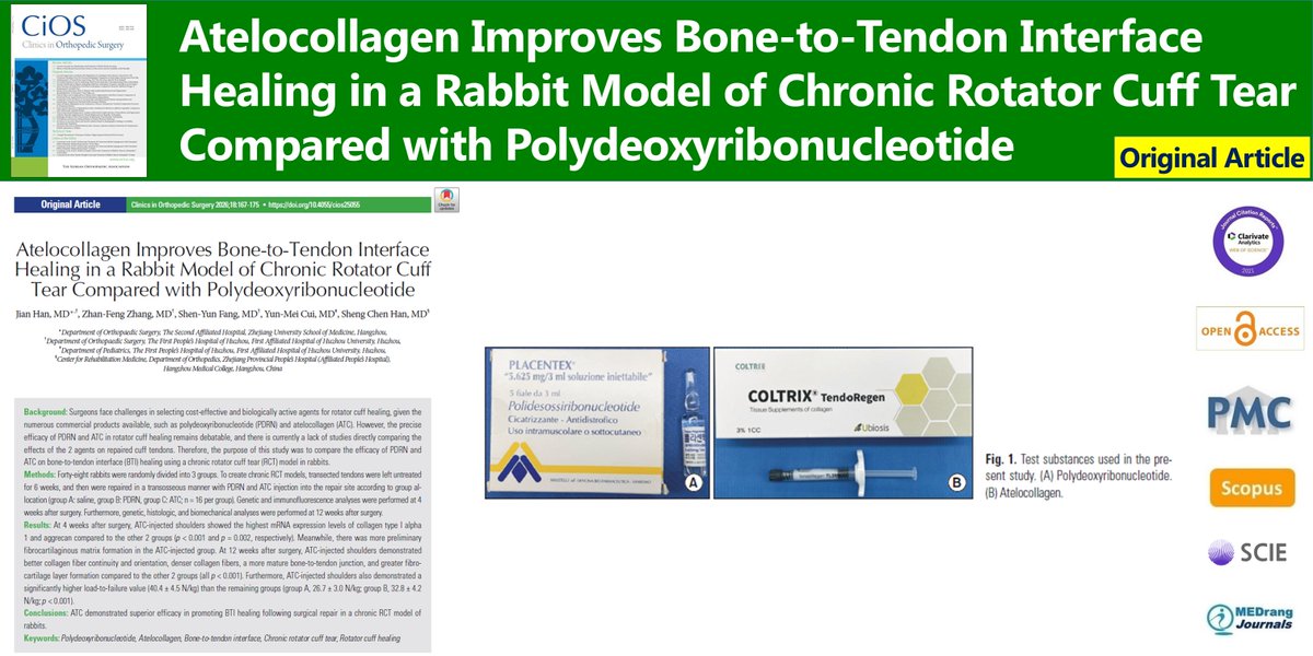 Clinics in Orthopedic Surgery tweet media