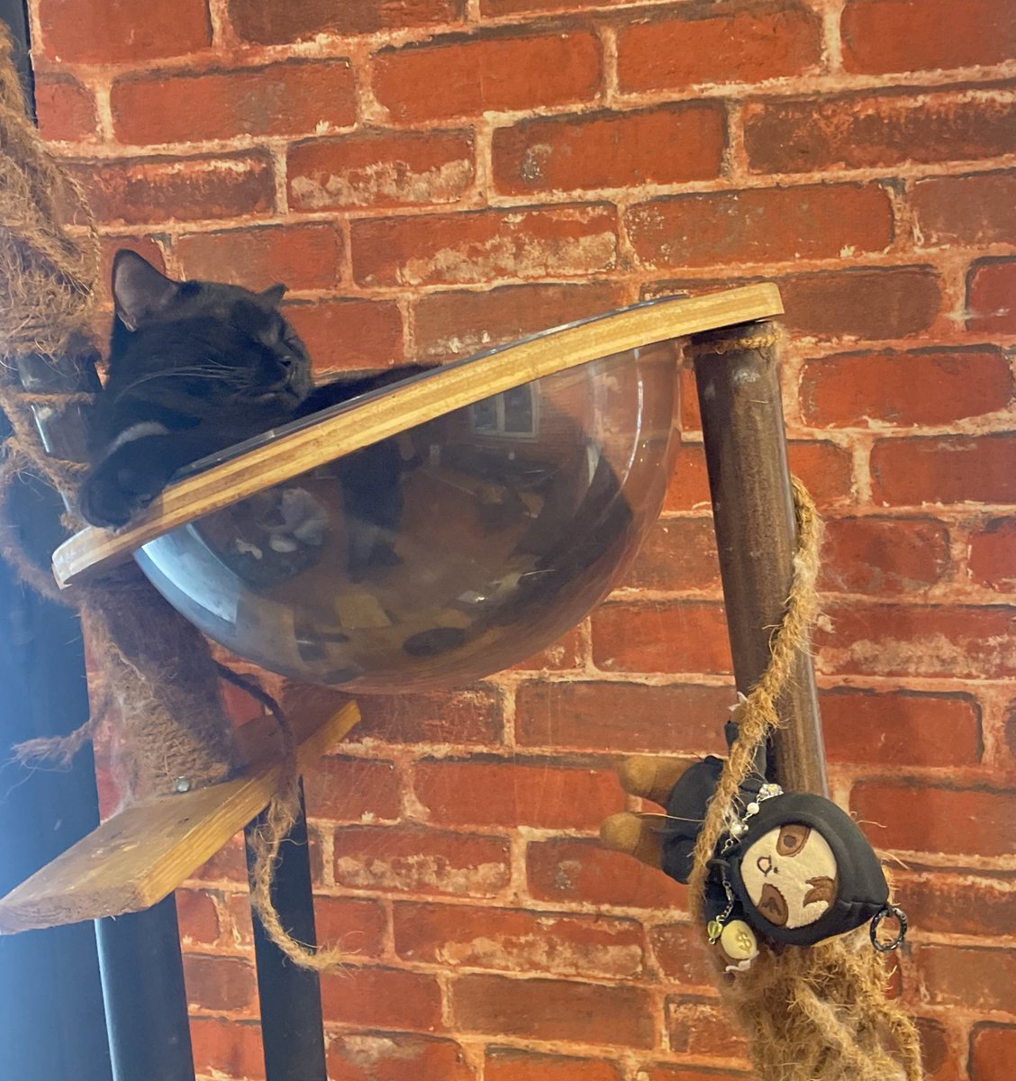 fae ★ nyawit era 🚬 tweet media