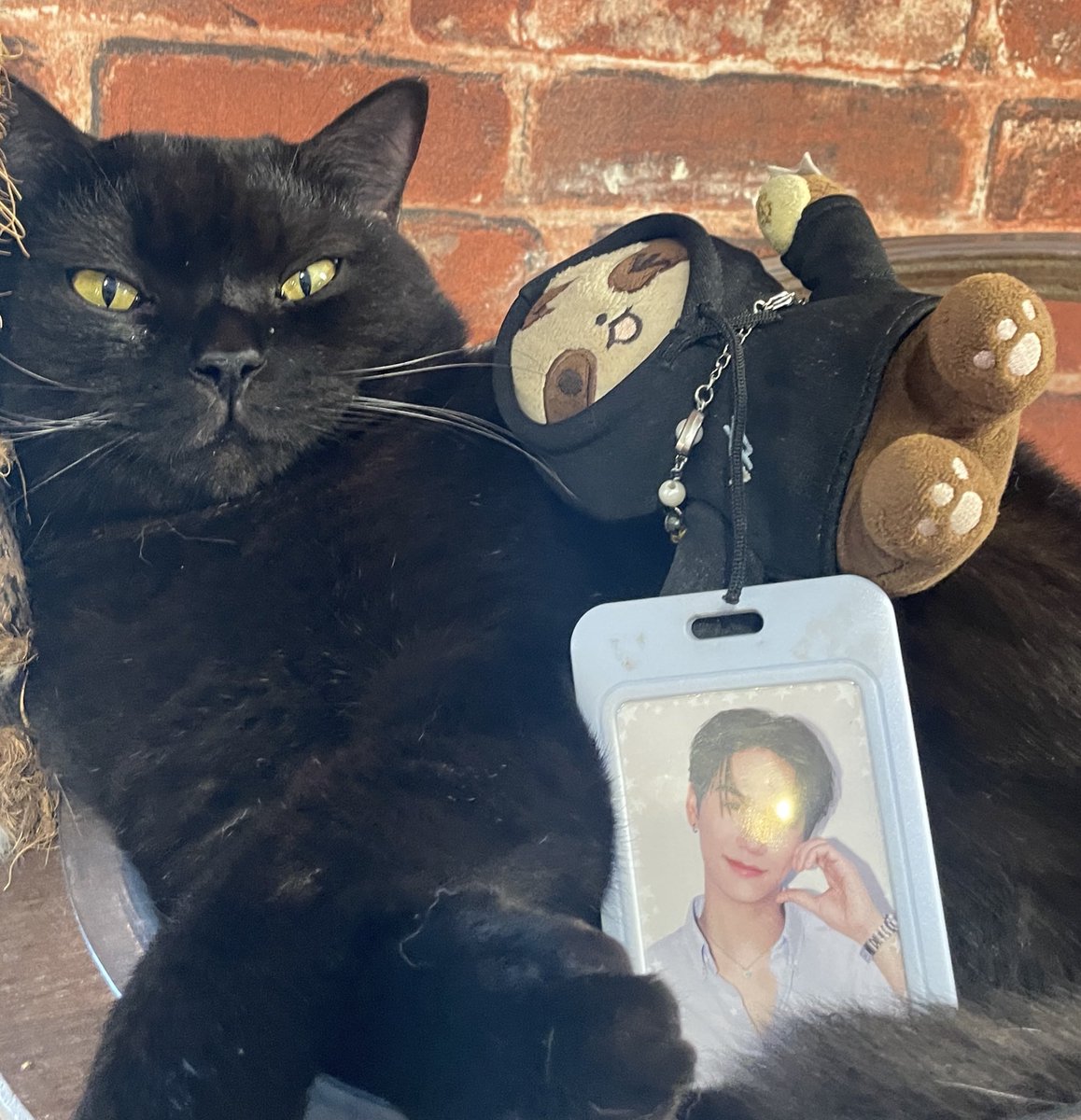 fae ★ nyawit era 🚬 tweet media