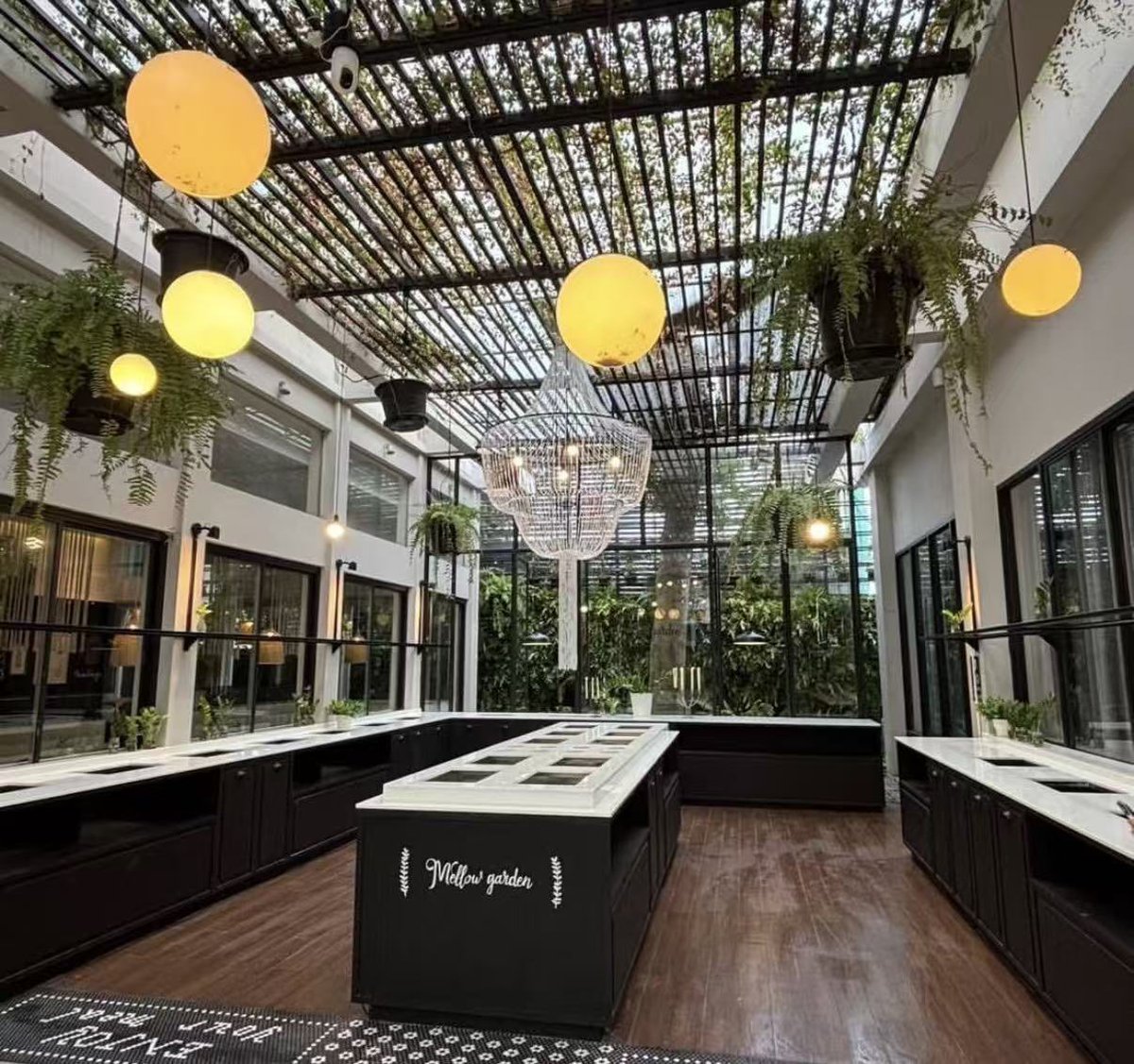 LingOrm_BaseCN tweet media