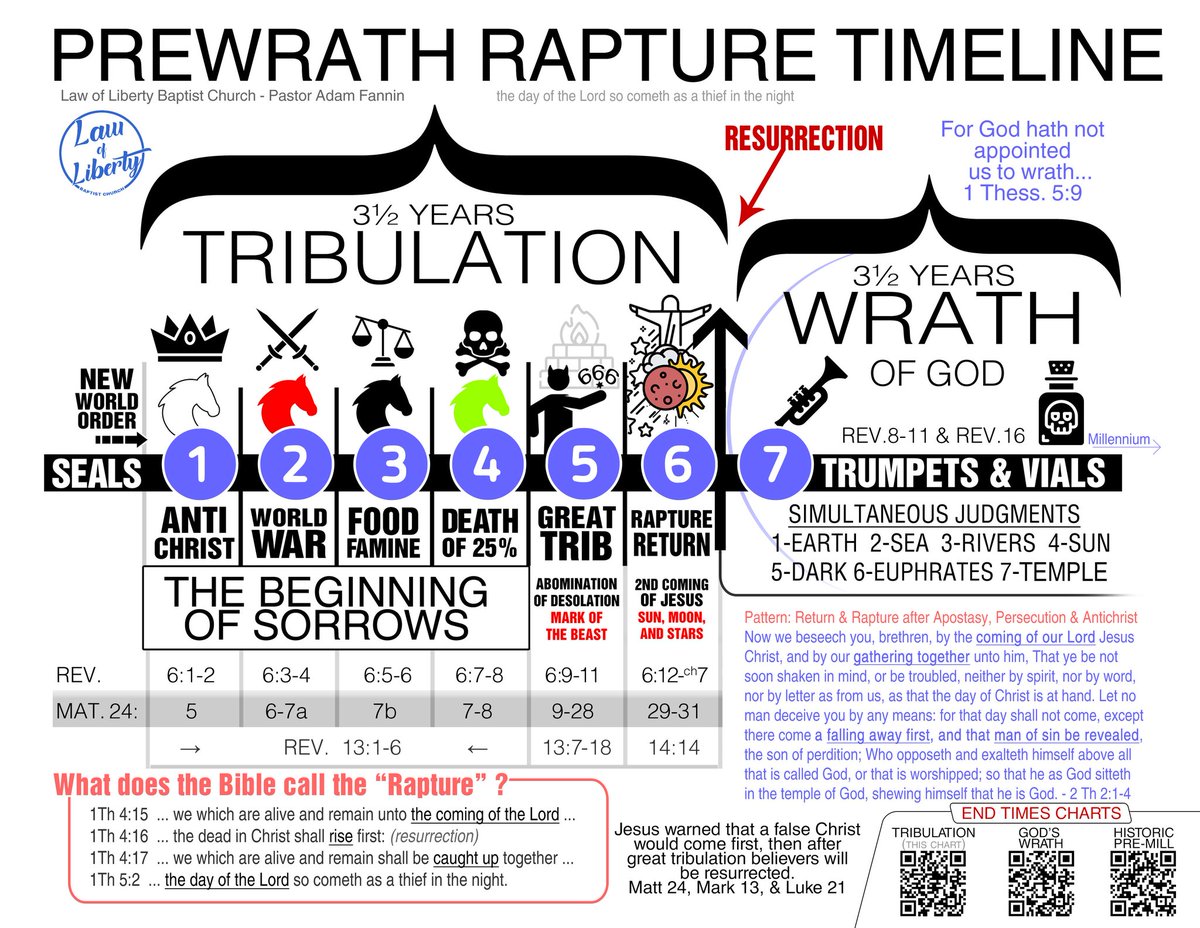 Zeek's Critique: Seeking Truth🔎 tweet media