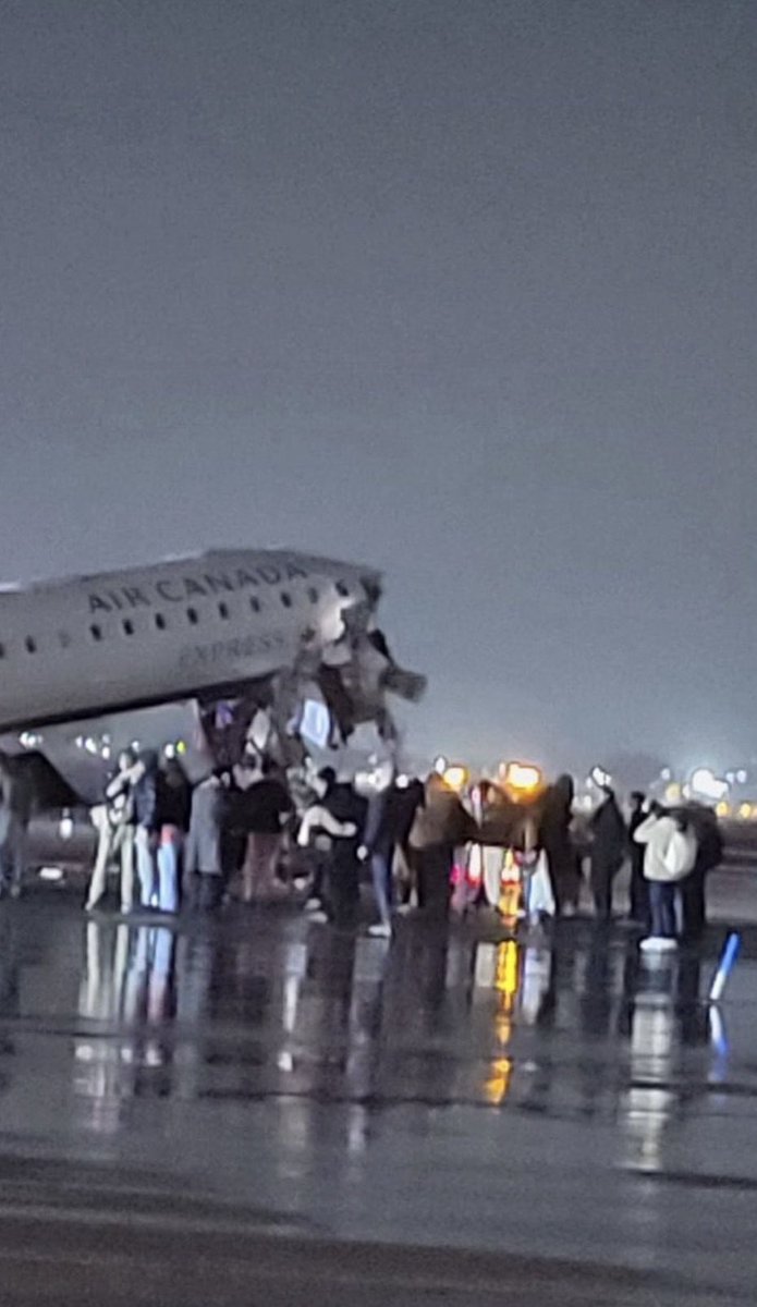 Timothy Sykes tweet media