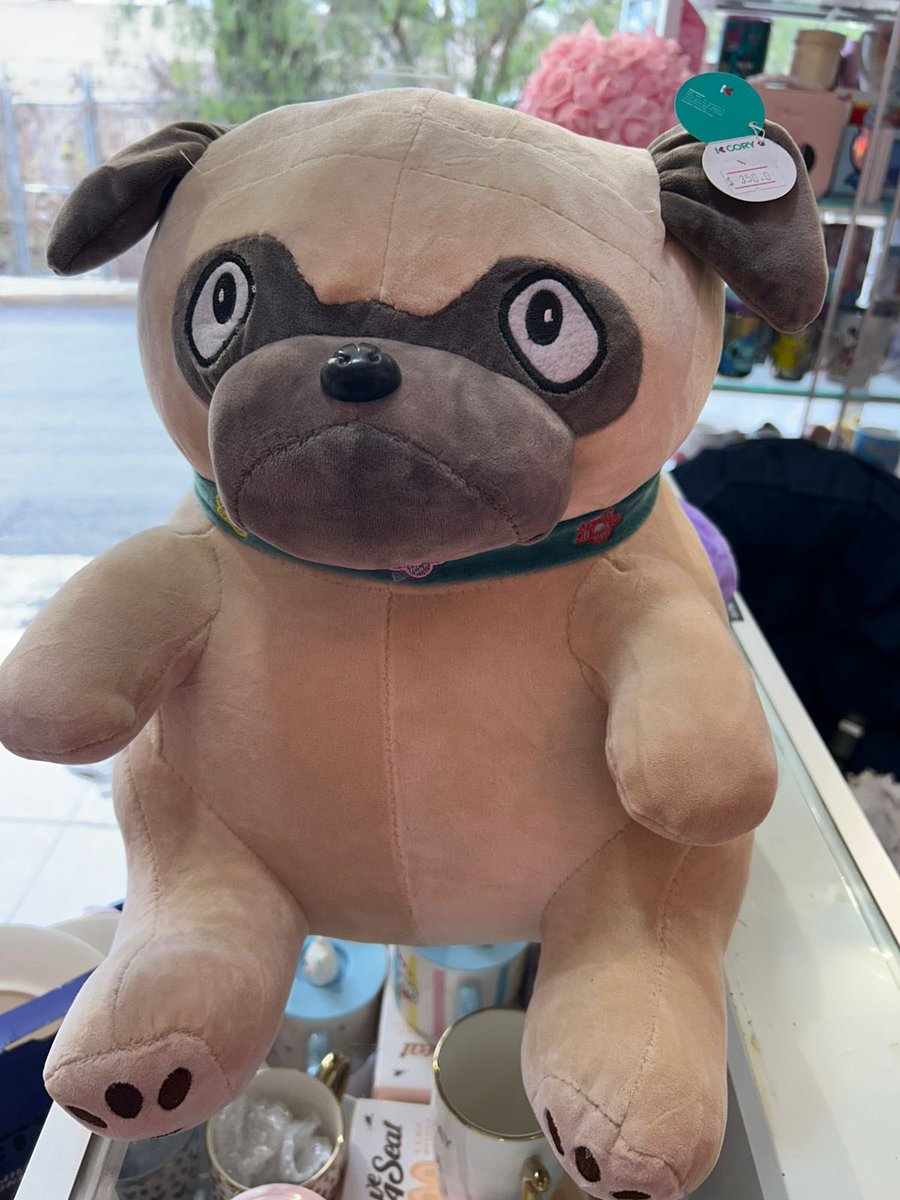 Peludos Desamparados tweet media