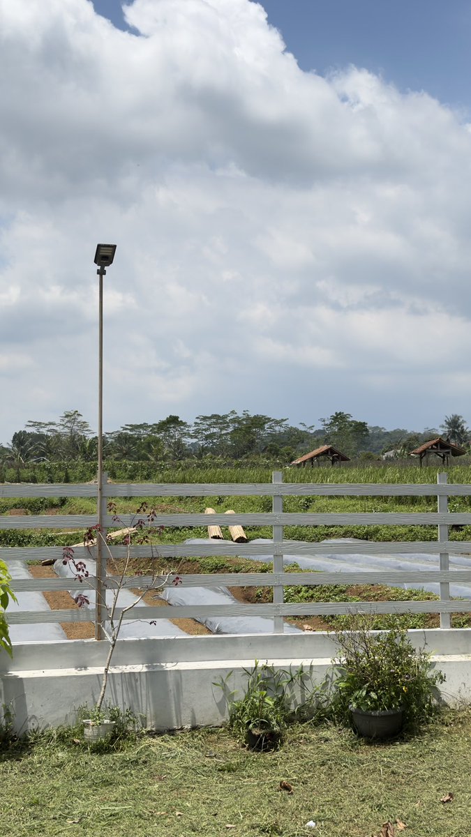 Ewing 🎧 tweet media