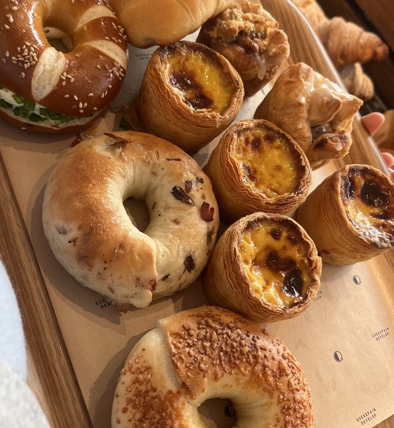 샴고앵 이차차 tweet media