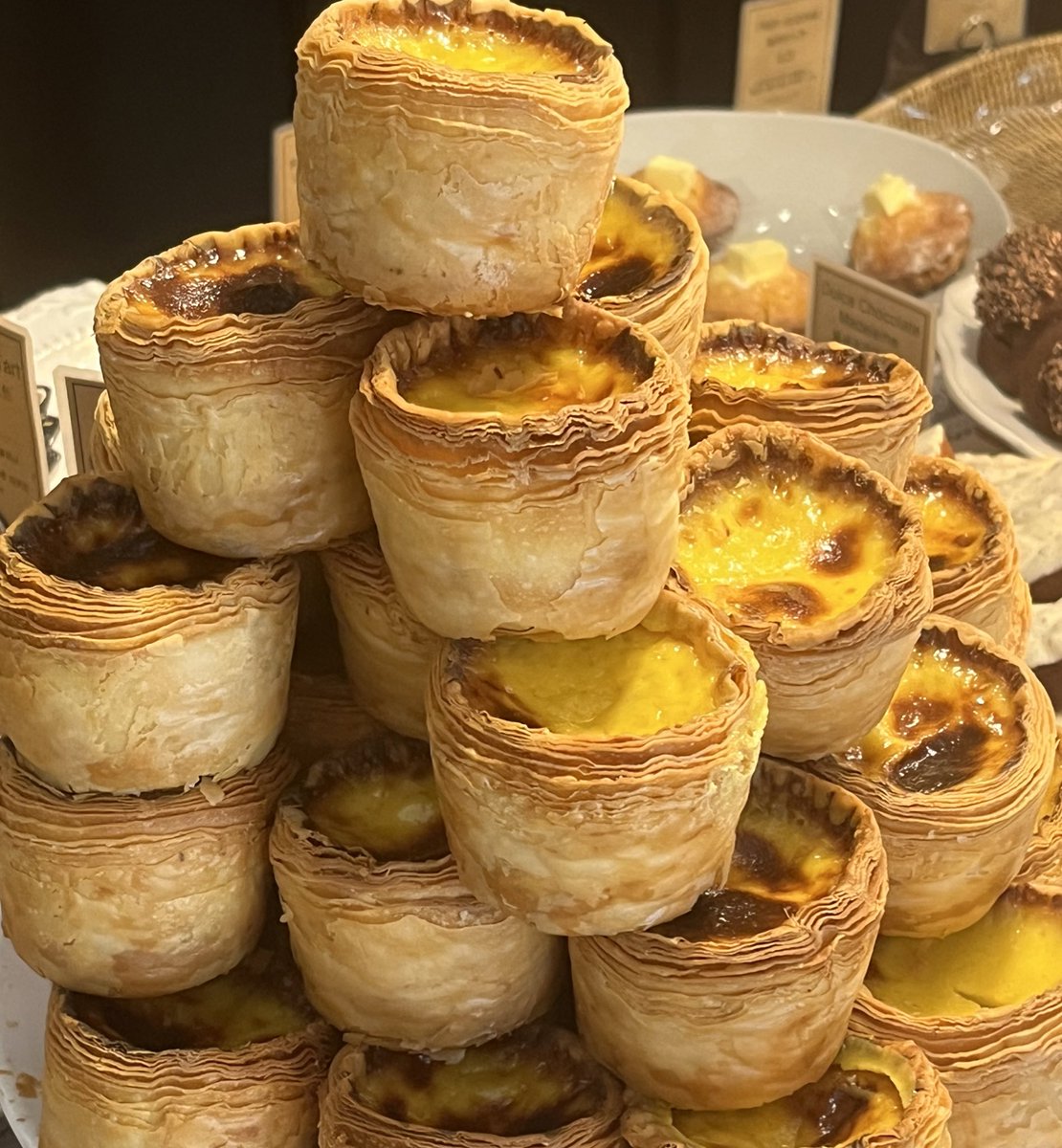 샴고앵 이차차 tweet media