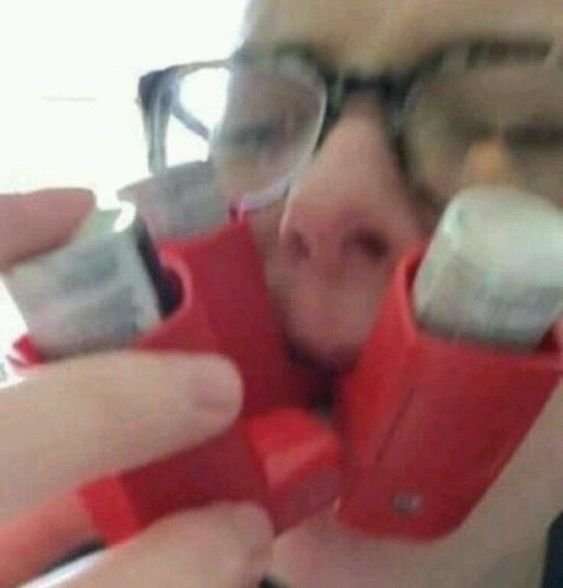 gitchi 🐈‍⬛️🍀 tweet media