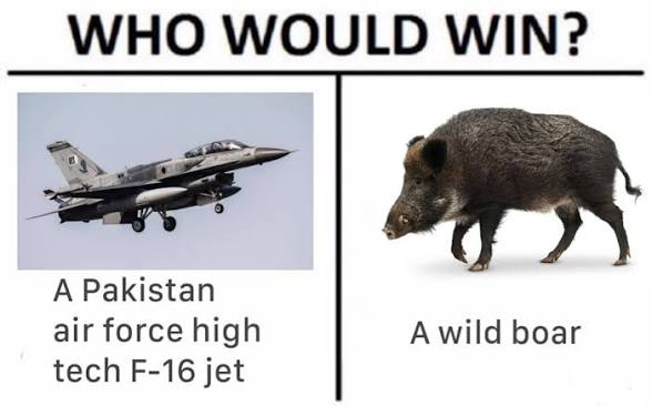 Firstname Lastname☭ tweet media