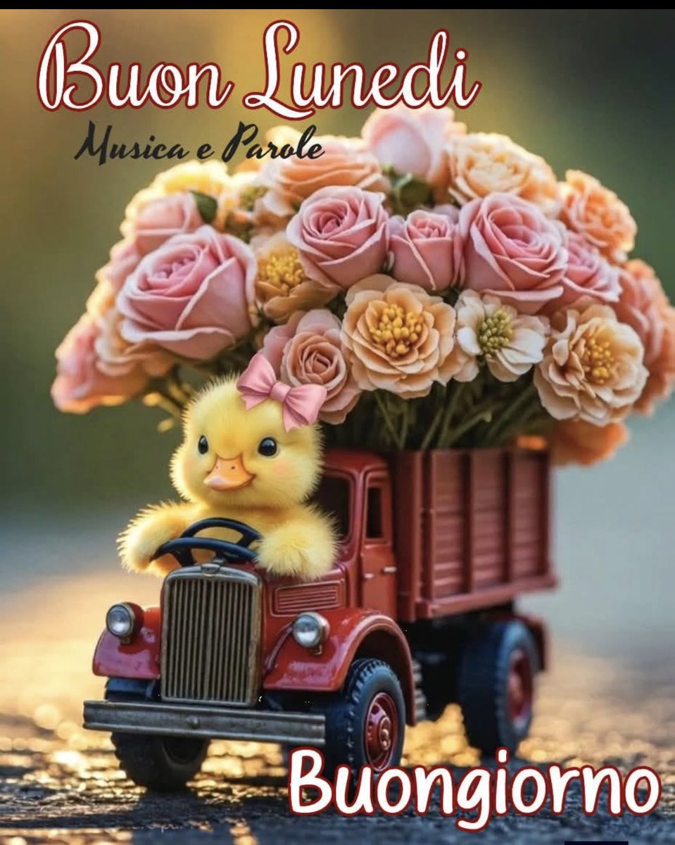 Meroni Daniele tweet media