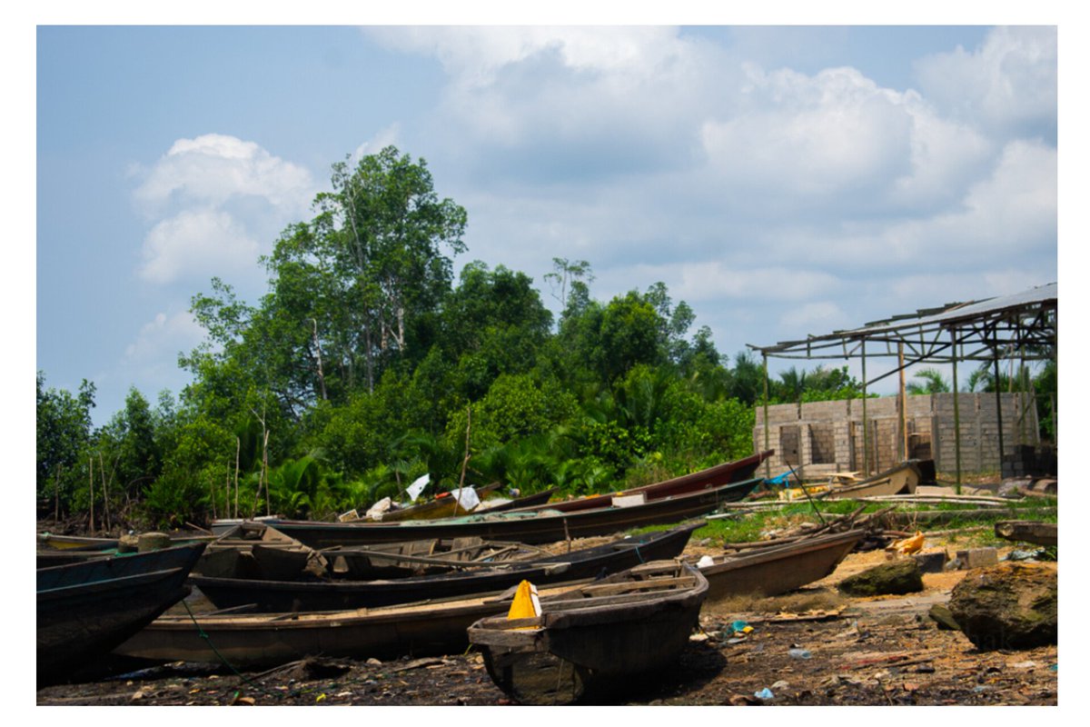 carine_oum's tweet image. De l'autre côté de la rive...Une réalité tout autre alors que c'est toujours  Douala🤦‍♀️
Pas d'électricité  depuis plus de 10 ans et les enfants traversent en pirogue pour aller à l'école chaque matin...
Pitti Dibamba [ ma nouvelle découverte]
#Tourisme
#Le237selonmesyeux
#Cameroun
