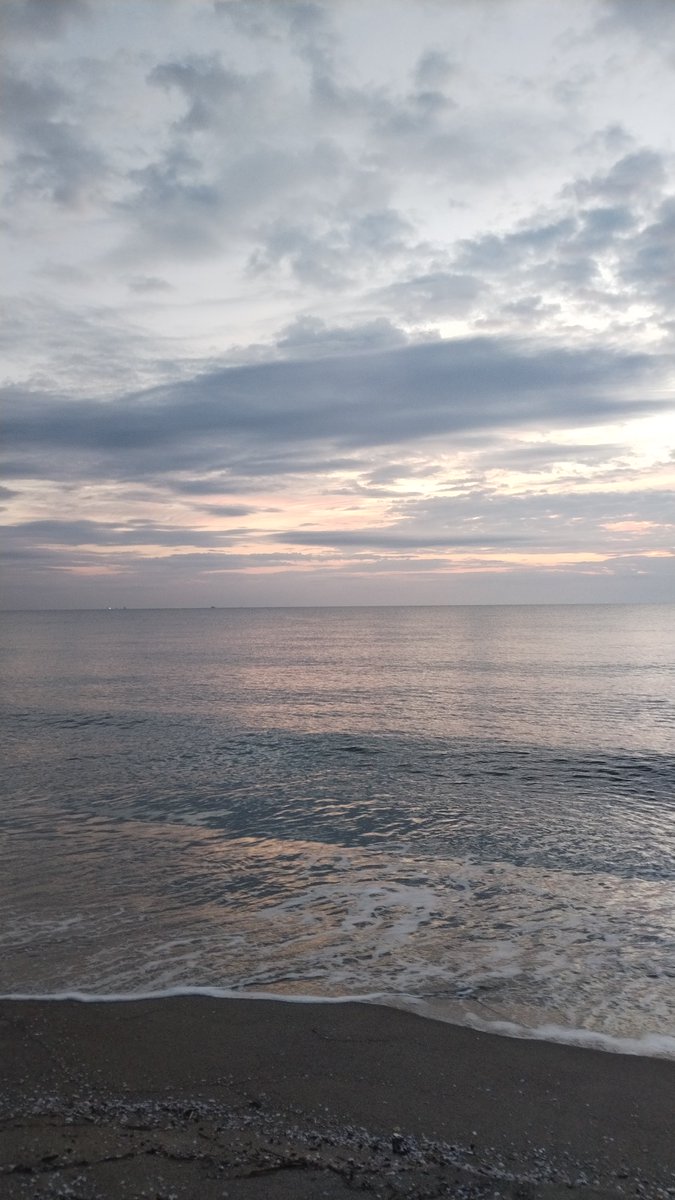 ghirigoro rogighiro  tweet media