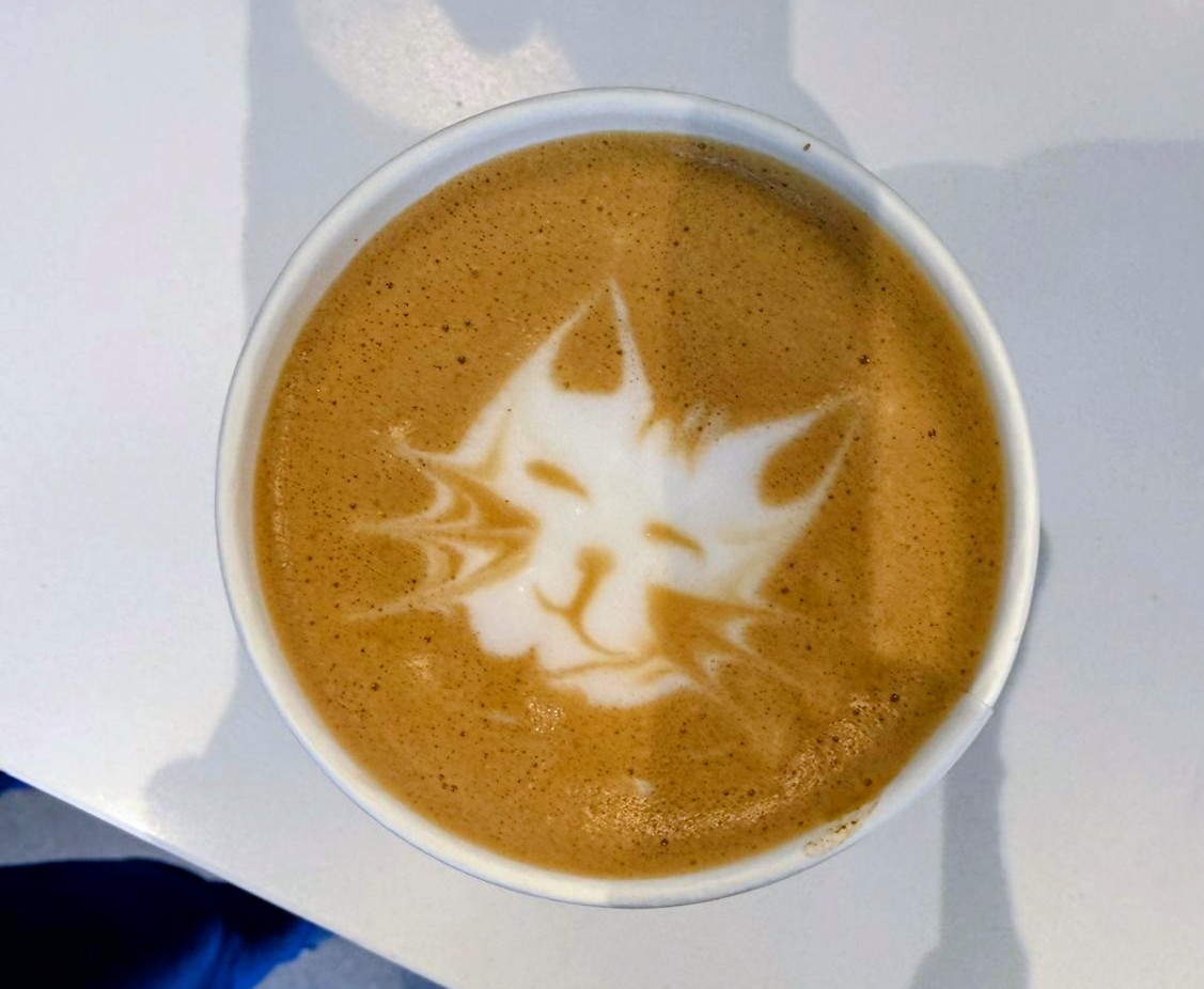 לאב 🎀 tweet media