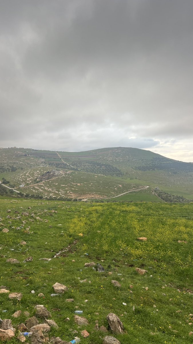 ابو مالك tweet media