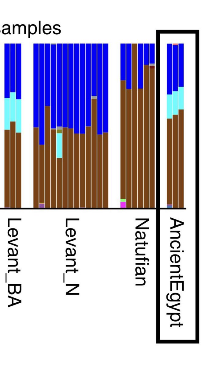 طلال tweet media