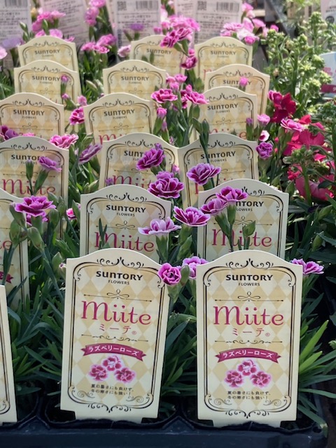 株式会社宝木スタッフサービス公式 tweet media