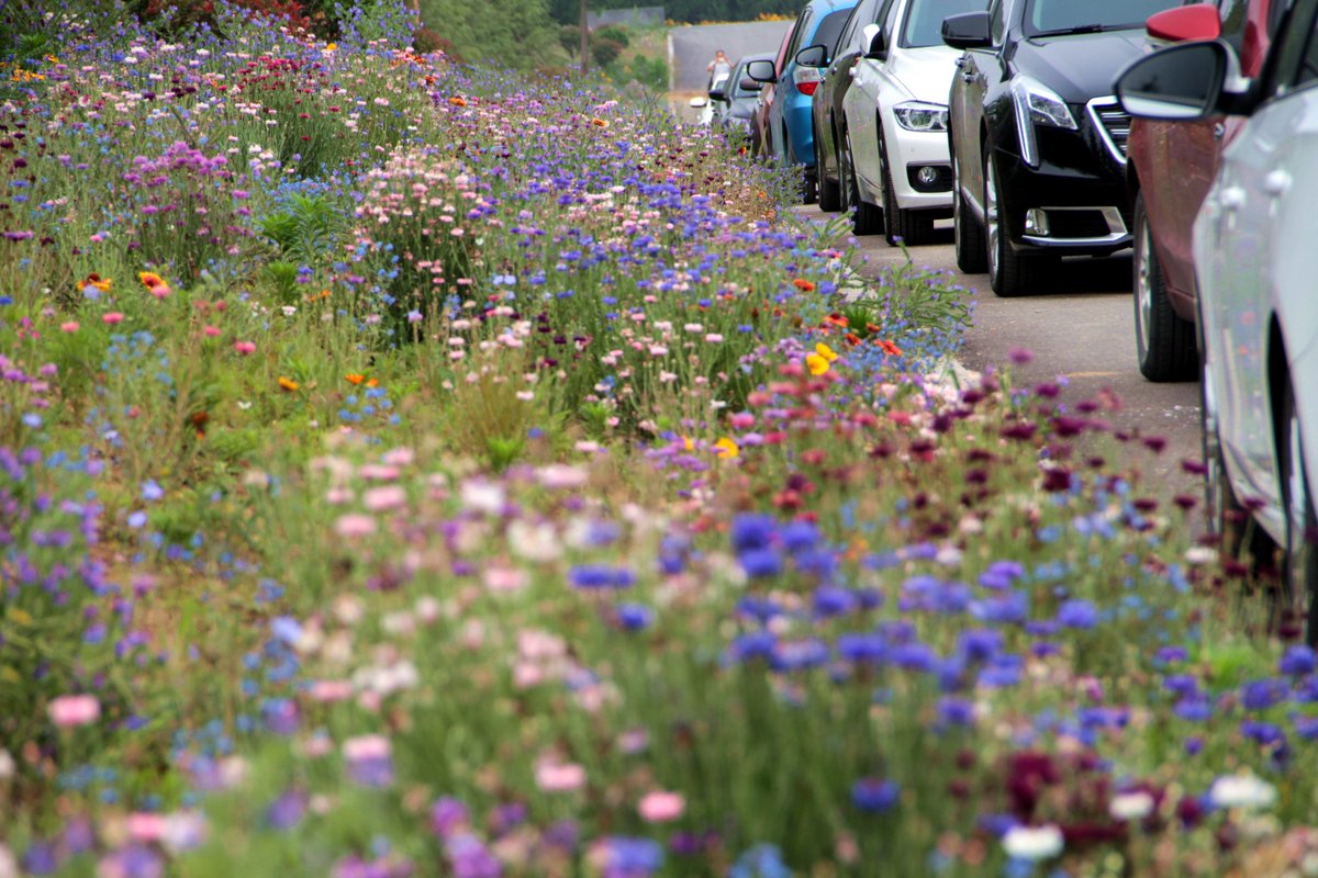 gee port tweet media