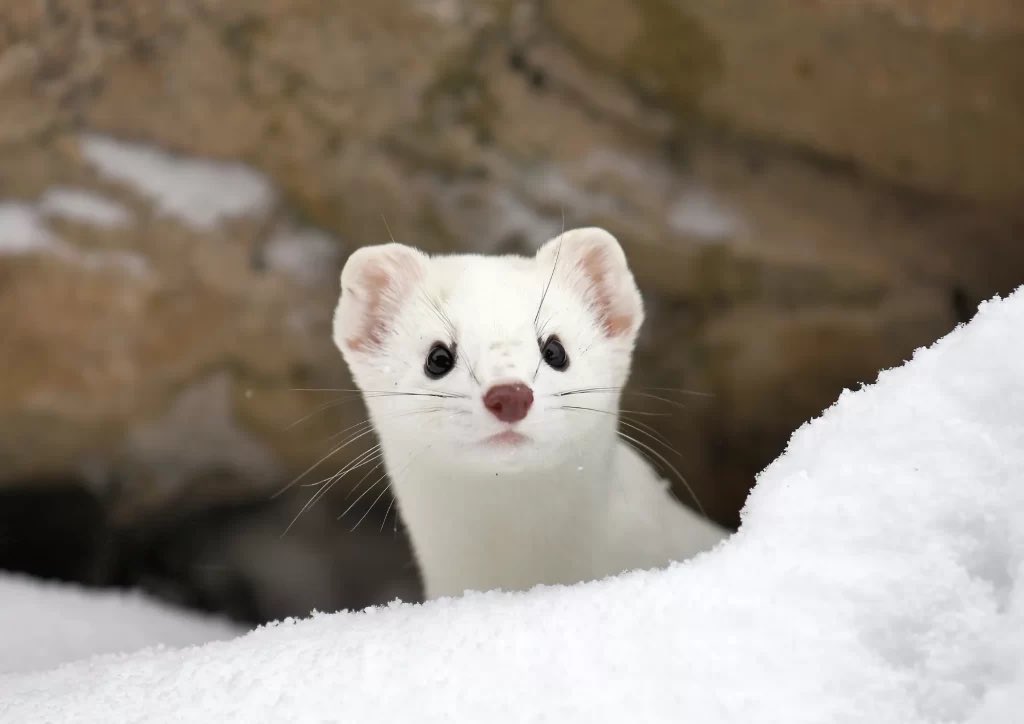 千尋♦美容楽しもう🌹 tweet media