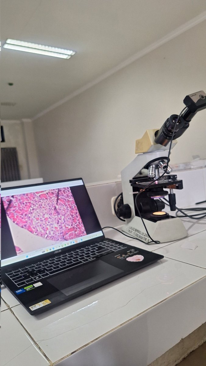 Verkyz. (sudah tidak capek) tweet media