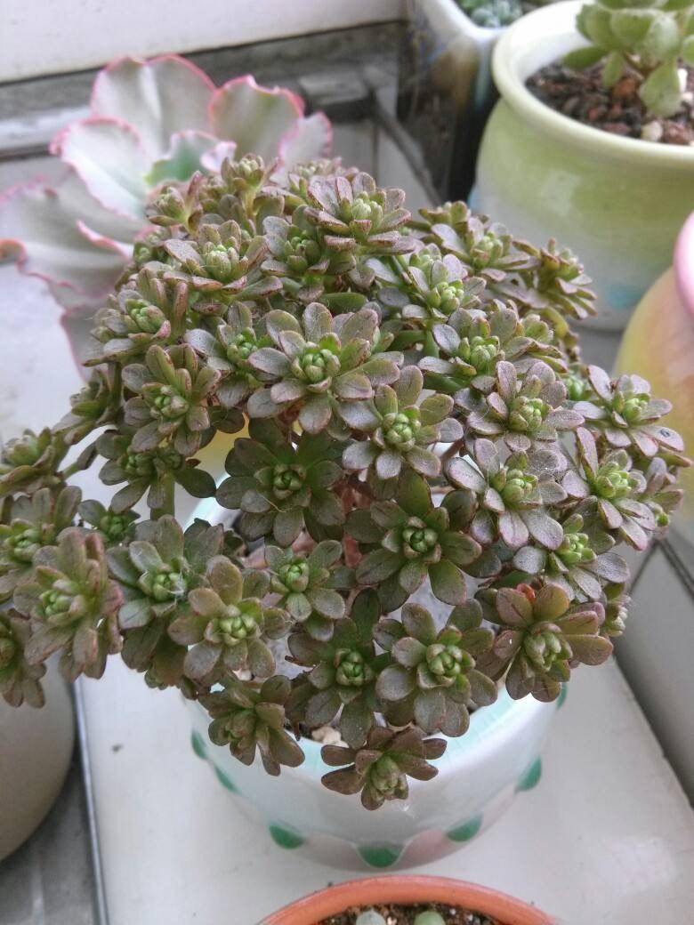 LeeAnna Holtermann tweet media