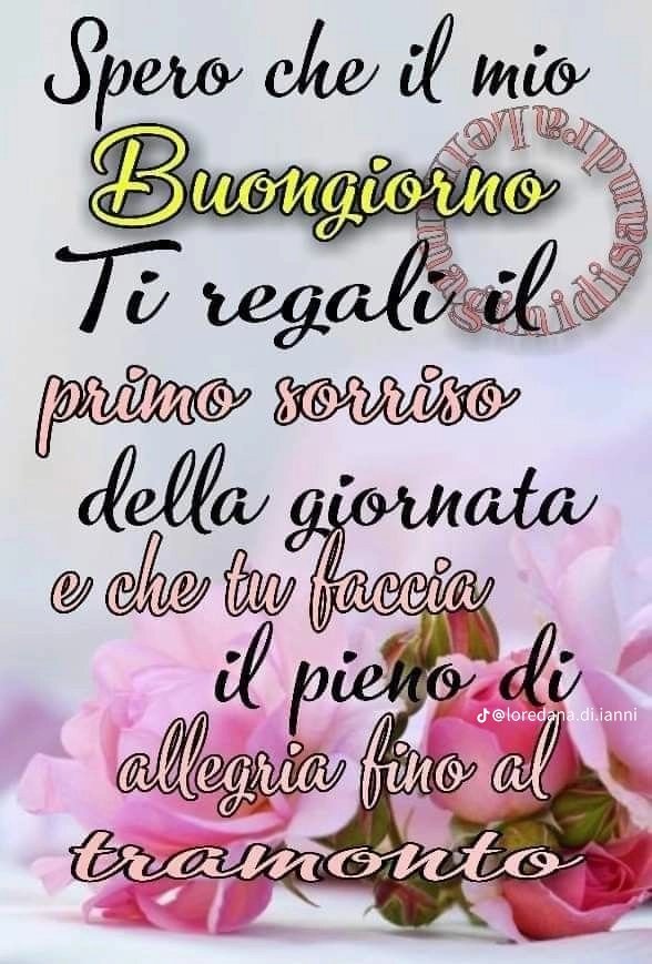 Graziella tweet media