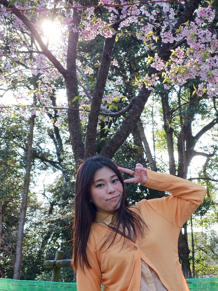 えい太郎　(次回企画開催計画中) tweet media