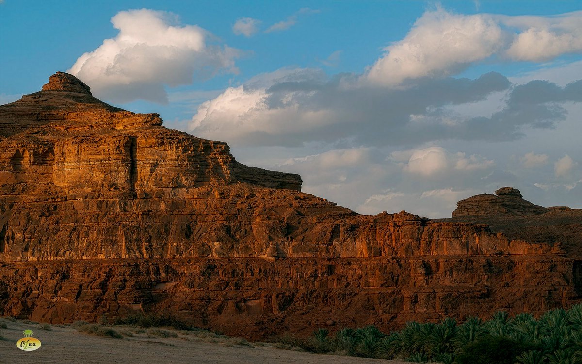 Saudi Magazine tweet media