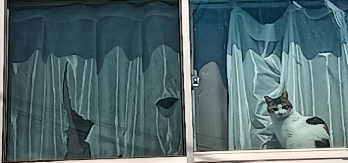 セルゥゥゥゥァァァァァ tweet media