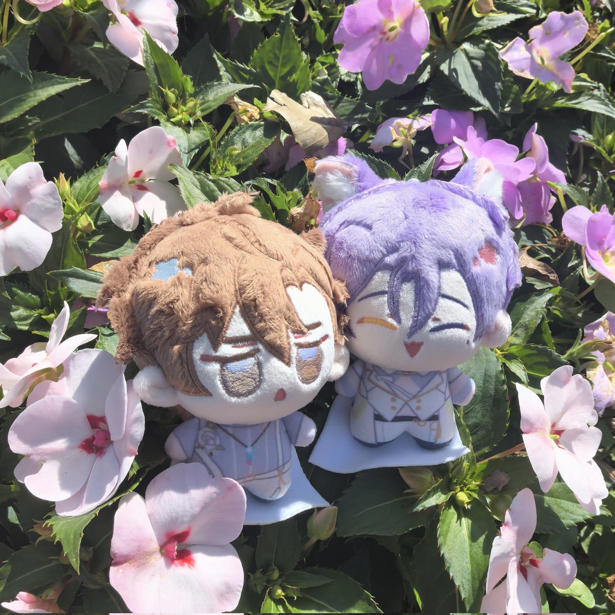 提灯涉河 tweet media