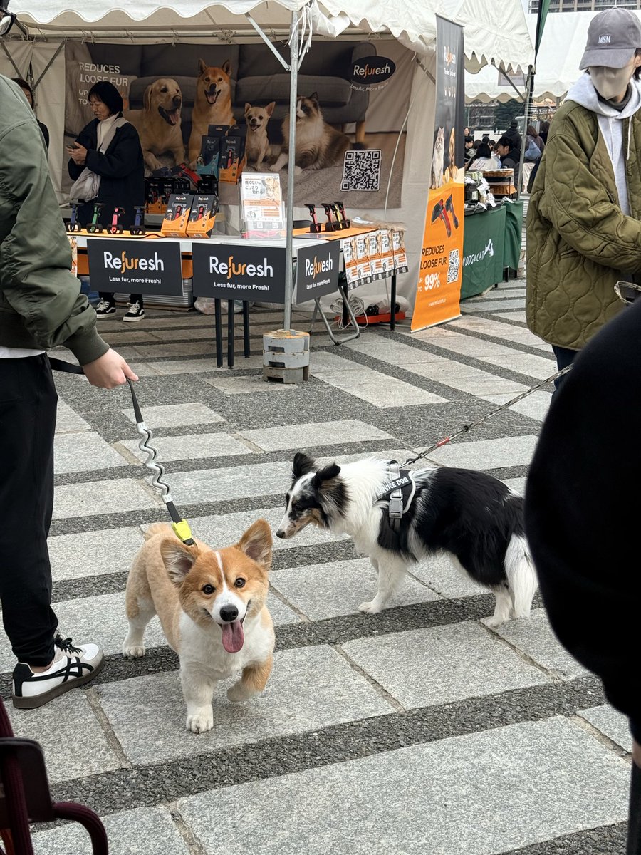 seika ✈️ 🇸🇬 🇹🇭 🇭🇰 🇻🇳 🇯🇵 tweet media