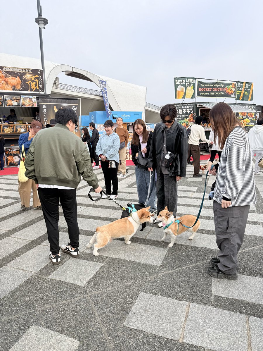 seika ✈️ 🇸🇬 🇹🇭 🇭🇰 🇻🇳 🇯🇵 tweet media