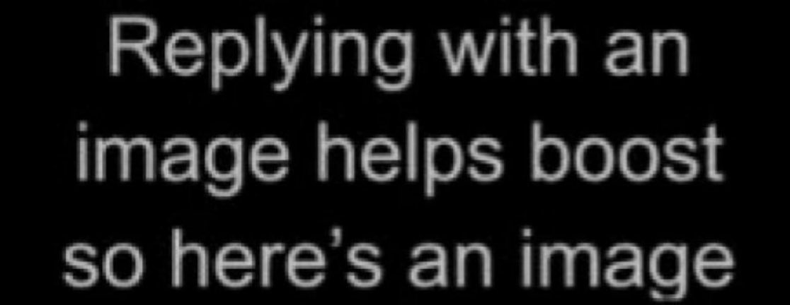 man🍉🍉 tweet media