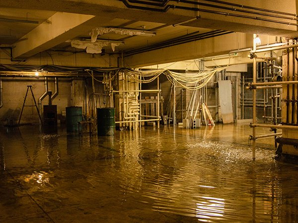 GiveCos◈週末BASE tweet media