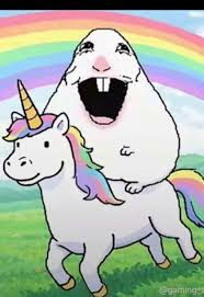 Zinnia 🍉 tweet media