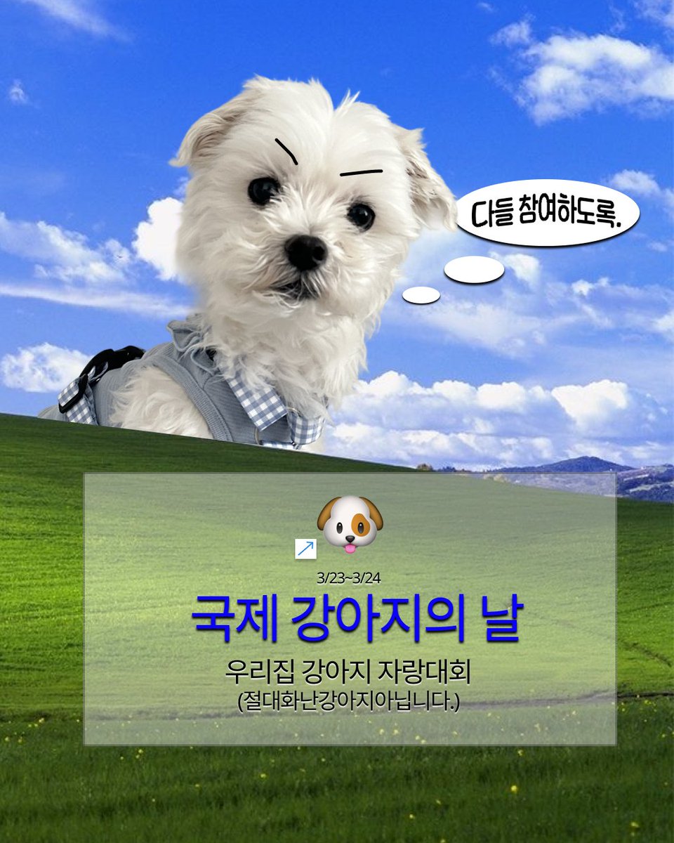 오아 뷰티 tweet media