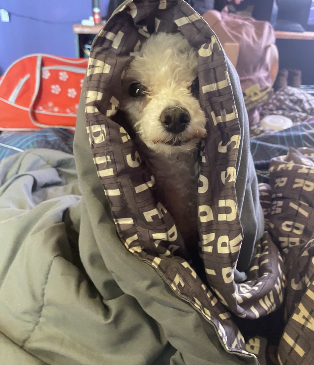 jess ☆ tweet media