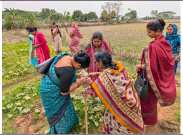 CipmcB's tweet photo. Fourth day of the Five day’s human resource development (HRD) training programme 2025-26 on Integrated Pest Management was conducted at AT- CASA BANAMLIPUR, BLOCK-BALIPATNA, DISTRICT- KHORDA on 19.03.26 by CIPMC BHUBANESWAR. https://t.co/MVMC5pPv51