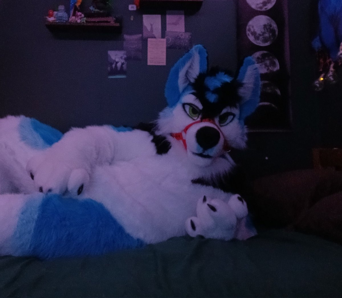 Trexton Barker tweet media