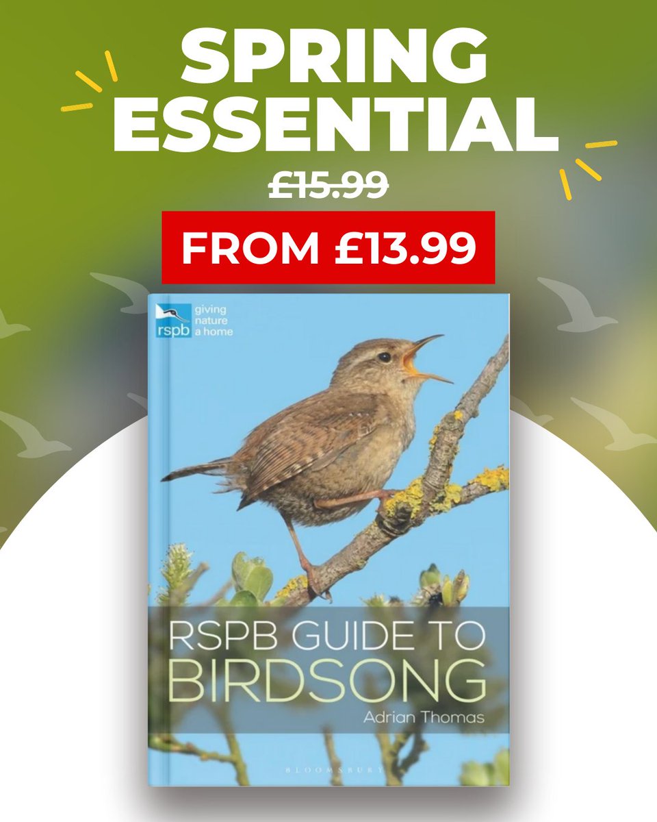 BirdGuides tweet media