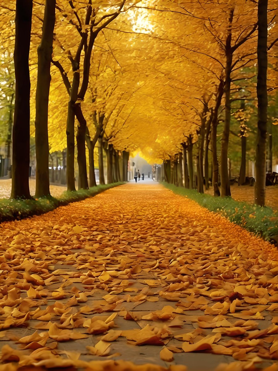 Mohan23770195's tweet photo. Autumn breeze, golden leaves, and cozy sweaters—nature’s perfect transition. https://t.co/KGpdfpsltU