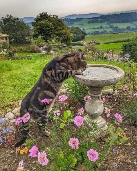 Kerim M.K.A tweet media