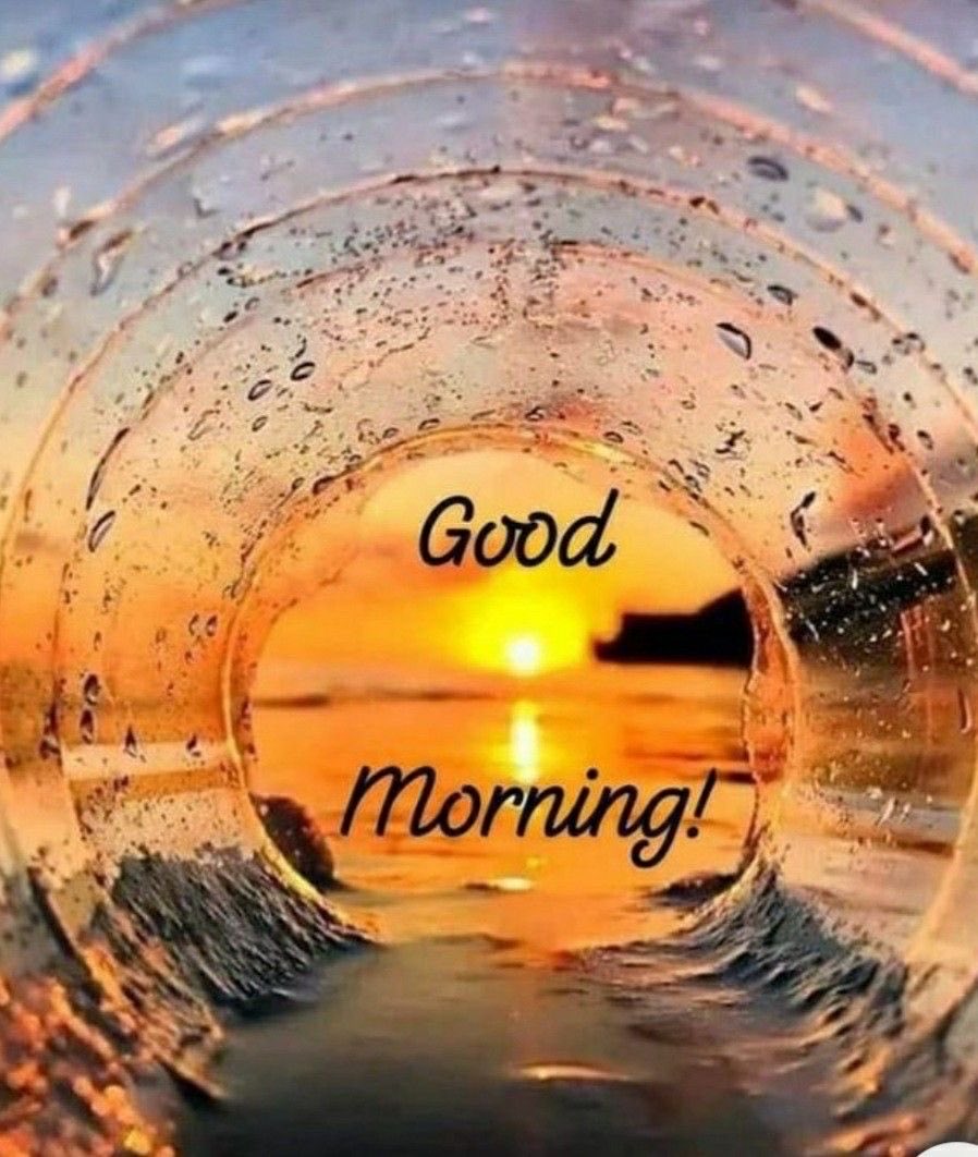 Nina Di Lascio tweet media