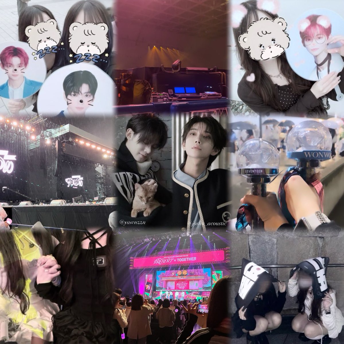 𝑀𝑣 tweet media