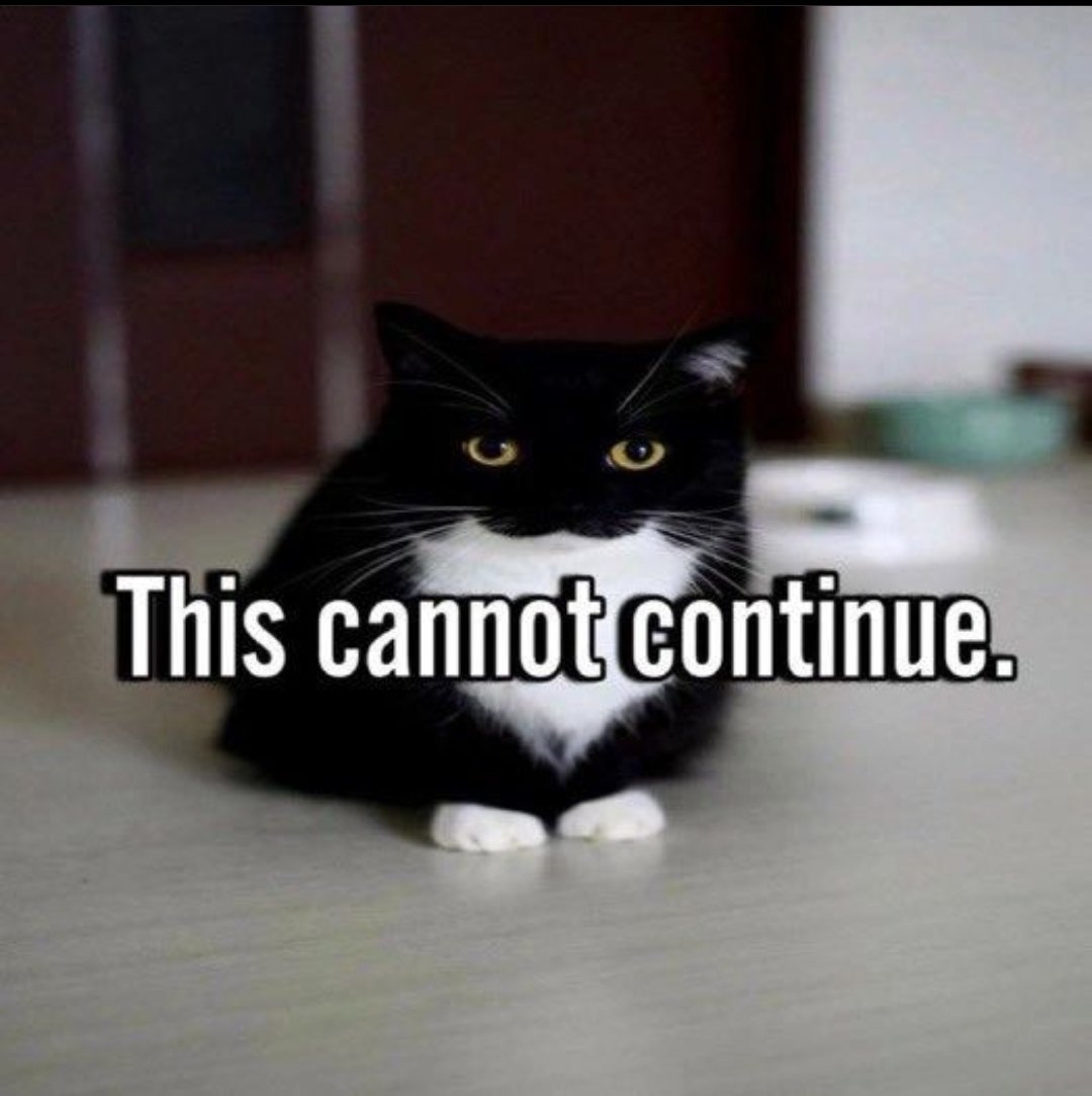 JamiePricefield tweet media